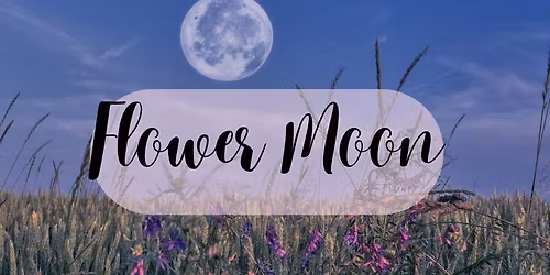 Flower Moon Meet-up #2