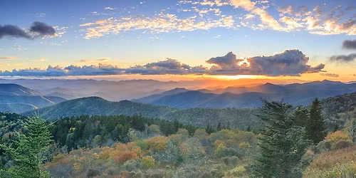 "Bee Jolly" Gathering