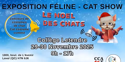 Le No\u00ebl des Chats - Exposition F\u00e9line 2025