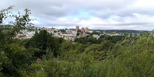 Creative Writing and Nature Walk - Curious Crookes