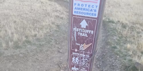 Sparks Bike and Trek 