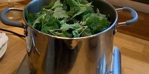 Herbal Cough Syrup Workshop