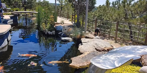 PPKWGS 37th Annual Pond Tour