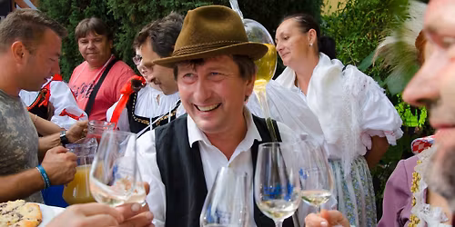 Drnholeck\u00e9 vinobran\u00ed a otev\u0159en\u00e9 sklepy 2026