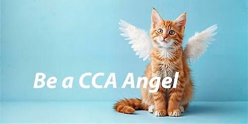 Celebrate Community Cats this Fall in Style