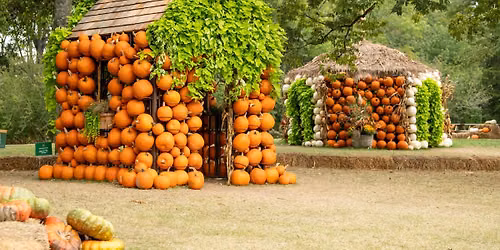 Cheekwood Harvest