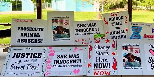 Sweetpea\u2019s 1st Christmas!!