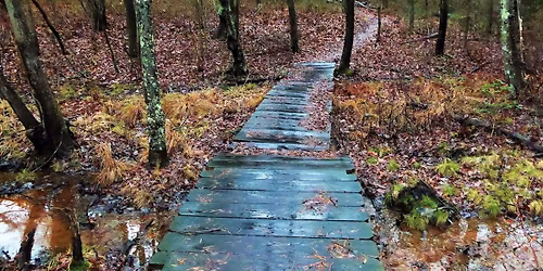Nature Hike at Maurice River Bluffs