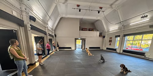 Obedience dog training classes puppy & adult