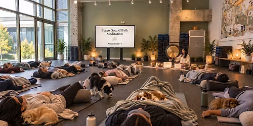 Dog Sound Bath Meditation