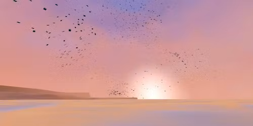 Murmuration - Exp\u00e9rience immersive interactive en r\u00e9alit\u00e9 virtuelle
