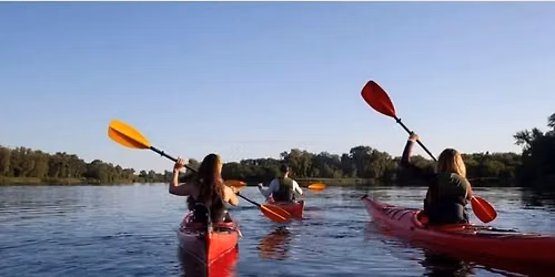 Paddles & Pints