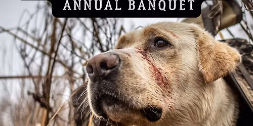 Billings Ducks Unlimited Annual Banquet