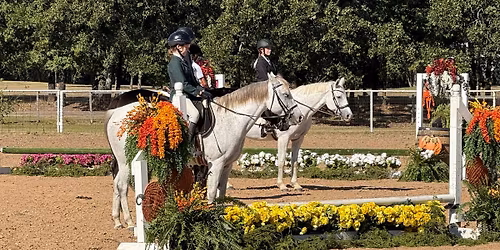 ETHJC 6th Annual Turkey Trot Hunter Jumper Schooling Show!