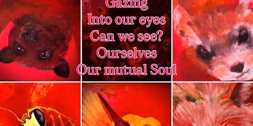 Art exhibition collaboration with Coconino Center for the arts at the Sosta restaurant