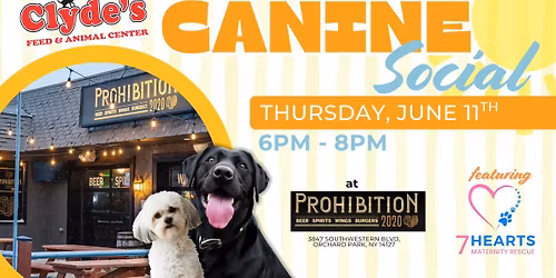 Clyde's Canine Social at Prohibition