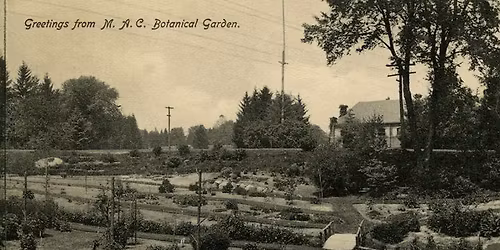 Beal Footprints: Beal as a Living Landscape