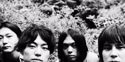 DYGL Live in Leeds (FAN Club)