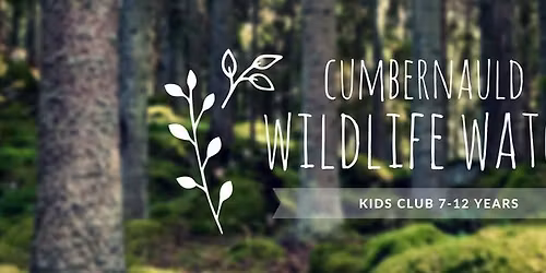 November Session 🌿