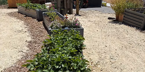 December Weekday Garden Gathering - Wednesday Mornings