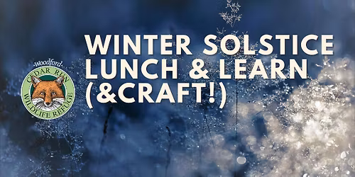 Winter Solstice Lunch & Learn (&craft!)