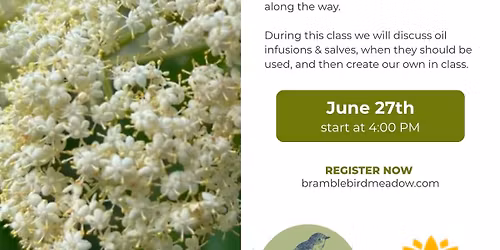 Family Herbalism