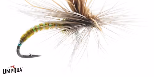 Open Fly Tying Session