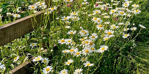 G\u00e4rtnern leicht gemacht - Workshop im Garten