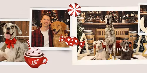 Holiday Pet Photos for a Cause