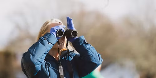 Winter Duck and Waterfowl Walk at Barn Island