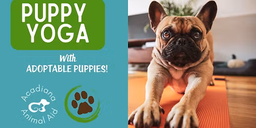 Puppy Yoga- Supporting Acadiana Animal Aid