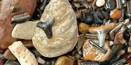 Beach Dig & Sift 