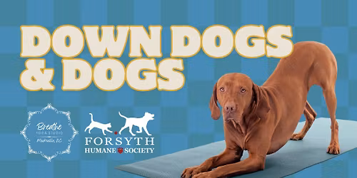Down Dogs & Dogs Yoga