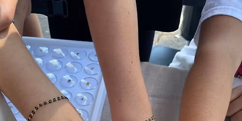 Permanent Jewelry Pop Up- @Kay Webers 44th Annual Craft Show