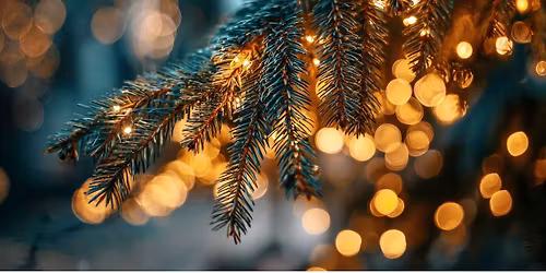 Party in the Trees l Cambridge Christmas Party