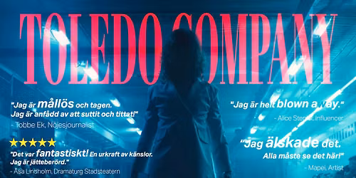 TOLEDO COMPANY - CHAPTER ONE