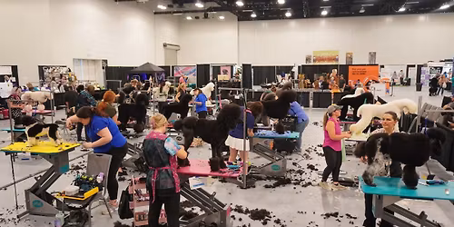RW GroomX Grooming Competition & Expo