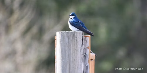 Field Trip: Birding the Arcadia Wildlife Sanctuary