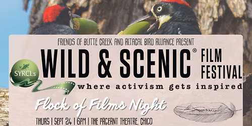 Friends of Butte Creek & AltaCal Bird Alliance's Wild & Scenic Film Festival 'Flock of Films' Night