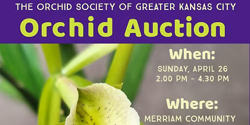 Orchid Auction