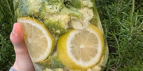 LEARN TO FERMENT ALL VEGETABLES - WORKSHOP IN ENGLISH