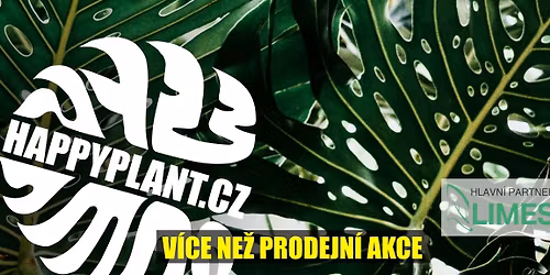 Mat\u011bj z HAPPYPLANT\ud83d\udd25 Exotick\u00e9 pokojovky \ud83c\udf3f KADA\u0147