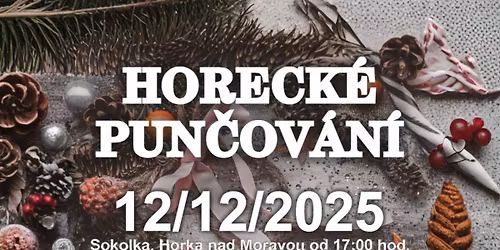 Horeck\u00e9 pun\u010dov\u00e1n\u00ed