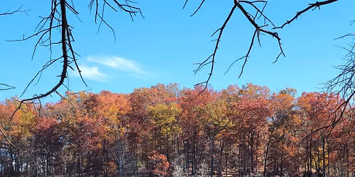 Piney Run Park in Carroll County