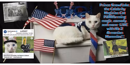 Prince Snowflake,The Celebrity Cat, 250th USA PURRtacular CelePURRbration
