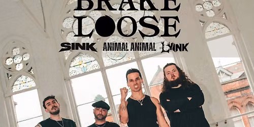 BRAKE LOOSE Live at Record Room (Limerick) \/\/ Support: Lyink (Germany) + SINK + Animal Animal