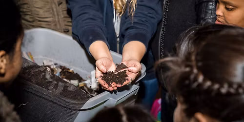 Vermicomposting: Worm Bins 101