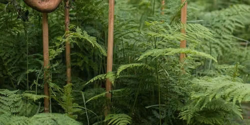 Pottery Handbuilding: Garden Guardian Mask 