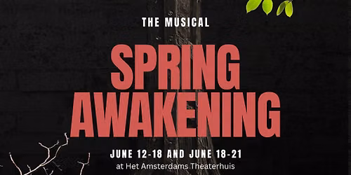 Spring Awakening the Musical
