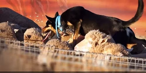 QYUTA AGM and Presentation